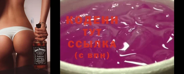 мдпв Лабытнанги