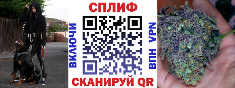 Конопля Amnesia  дарнет шоп  Северская 